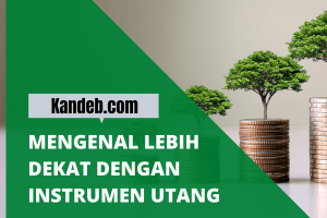 Mengenal Lebih Dekat dengan Instrumen Utang