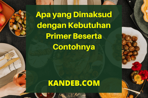 Apa yang Dimaksud dengan Kebutuhan Primer Beserta Contohnya