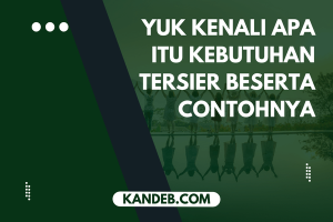 Yuk Kenali Apa Itu Kebutuhan Tersier Beserta Contohnya