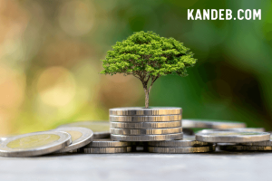 Surat Berharga Negara (SBN): Investasi Aman dan Menjanjikan