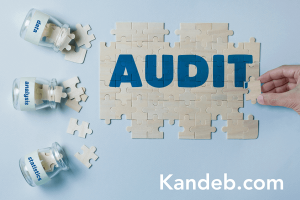 Opini Audit: Pentingnya Penilaian Independen dalam Dunia Bisnis