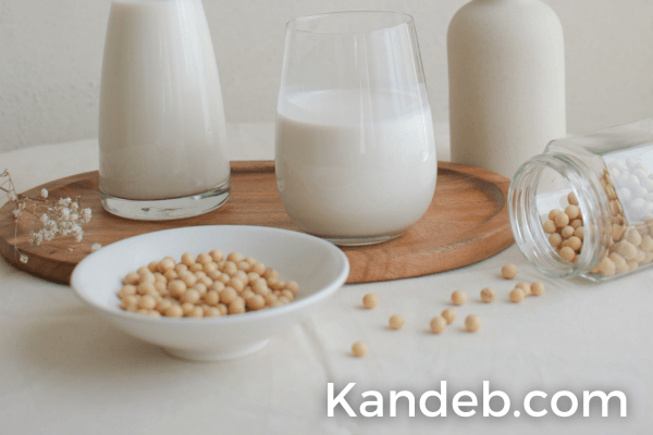 usaha susu kedelai